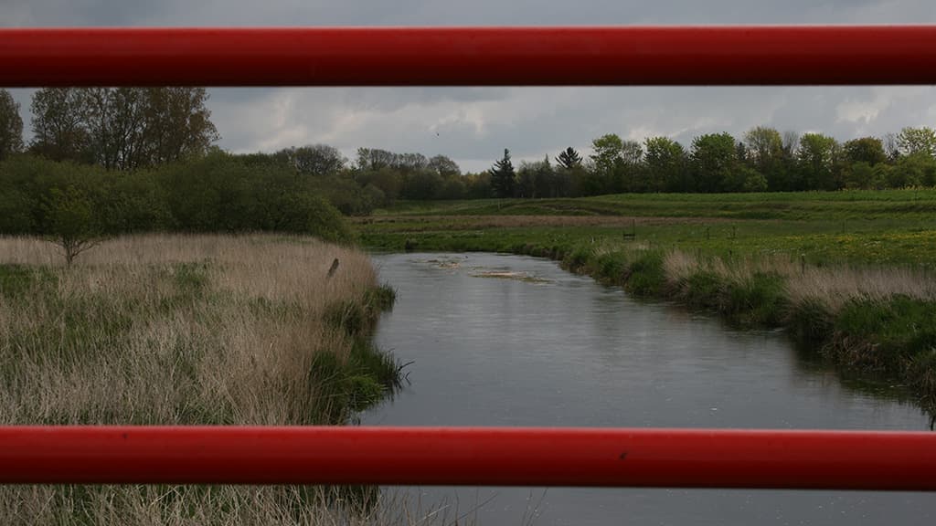 Frihedsbroen over Kongeåen