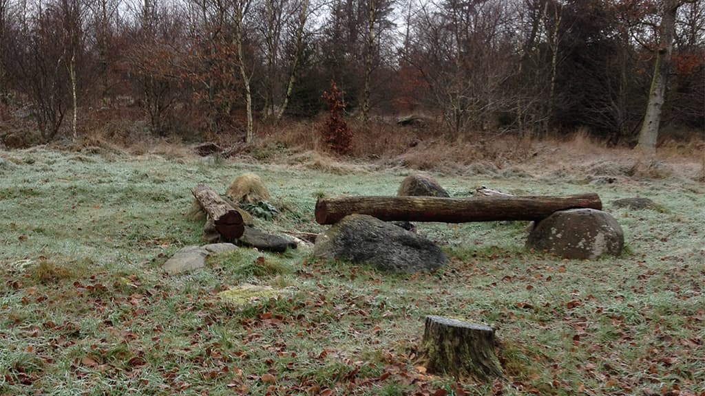 Stursbøl Plantage - langs Hærvejen