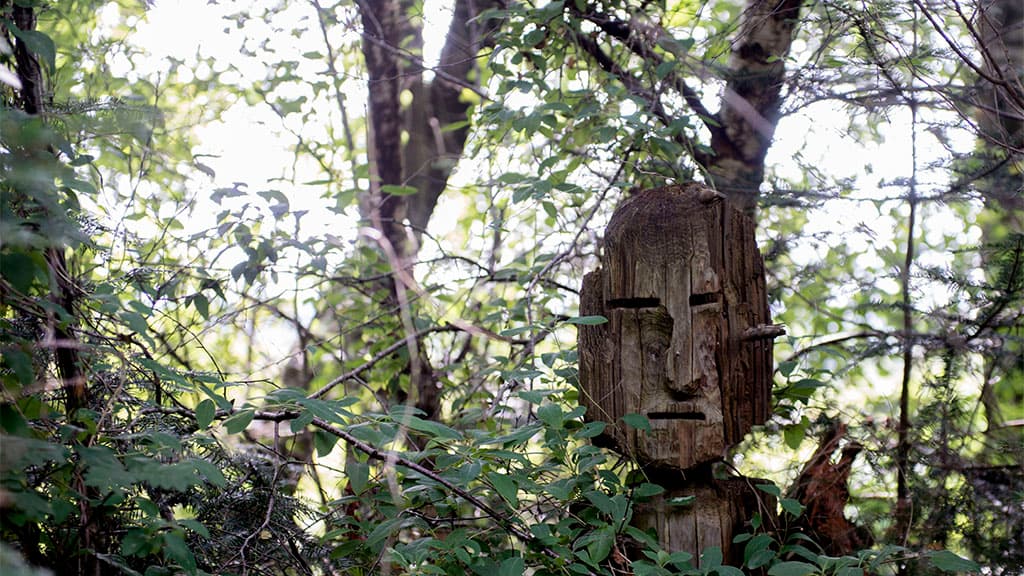 Stursbøl Plantage - langs Hærvejen