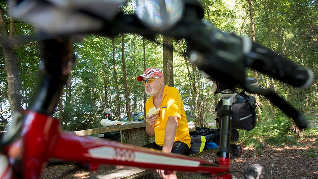 Stursbøl Plantage - langs Hærvejen