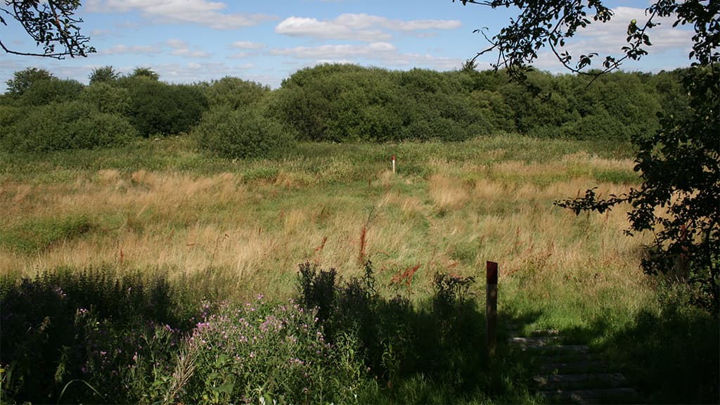 Kongåen ved Shelterplads - Skudstrup