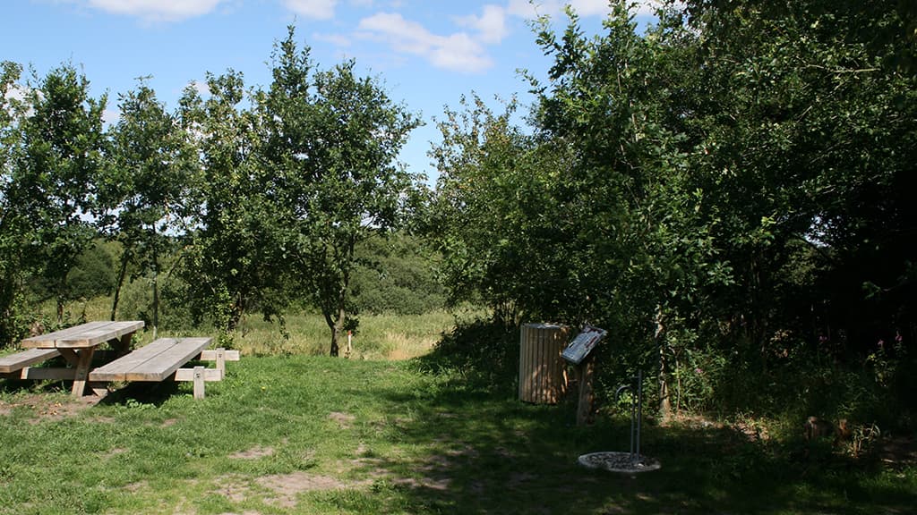Shelterplads ved Kongeåstien, Skudstrup