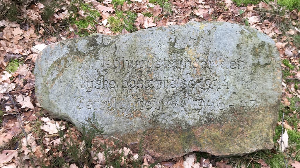 Skodborg Kommuneplantage - mindesten