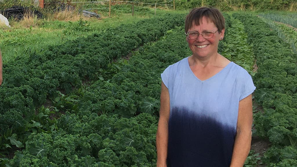 Gårdbutik i Skodborg