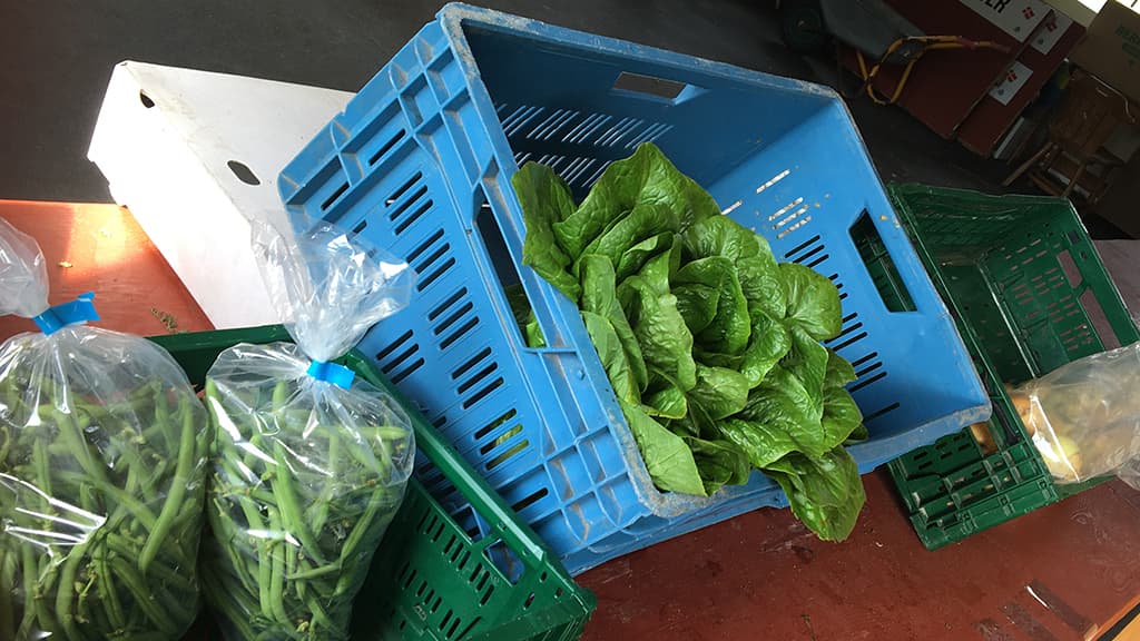 Gårdbutik i Skodborg