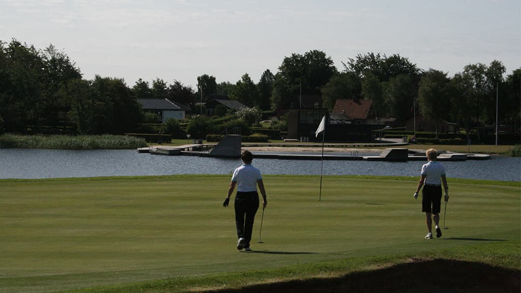 Udsigt fra Royal Oak, Jels