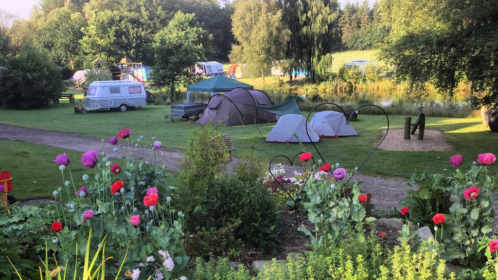 Gyvelborg Øko-camping & Gårdbutik