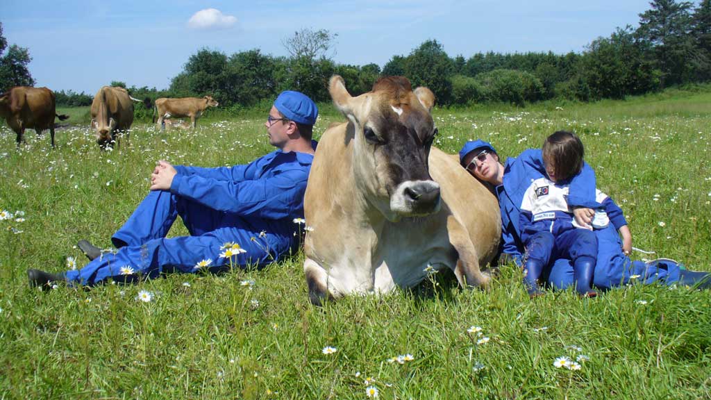 Gyvelborg Øko-camping & Gårdbutik - Bondegårdsferie