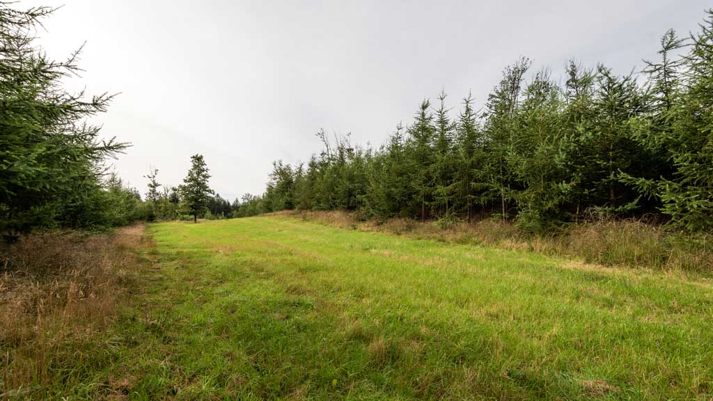 Studefold syd for Nr. Snede