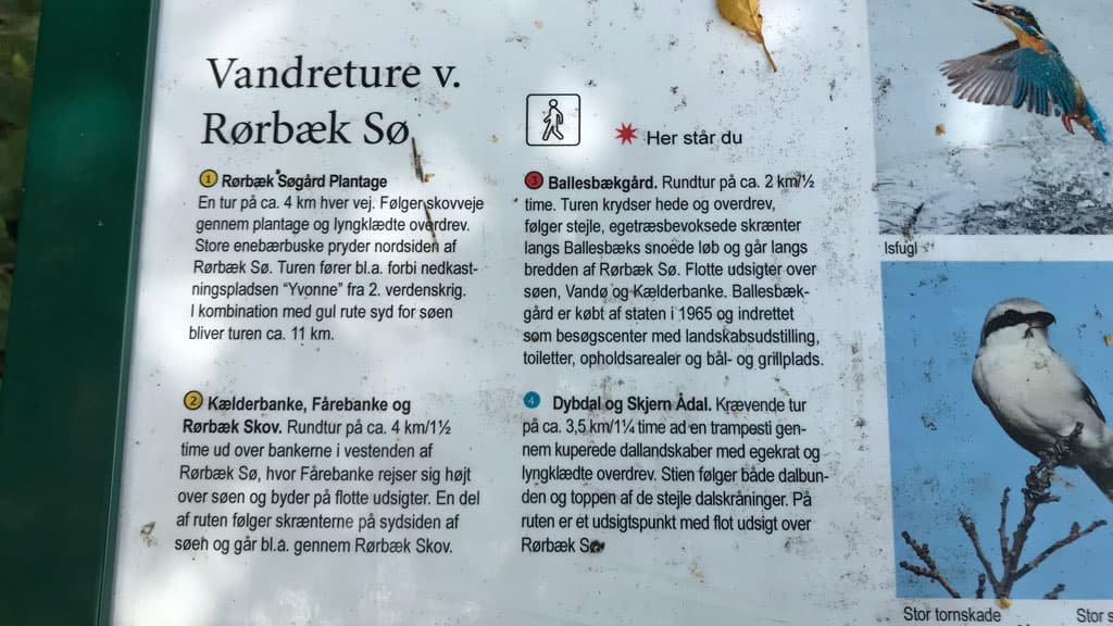 Rørbæk Sø