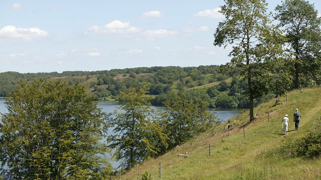 Vandretur ved Hald Sø