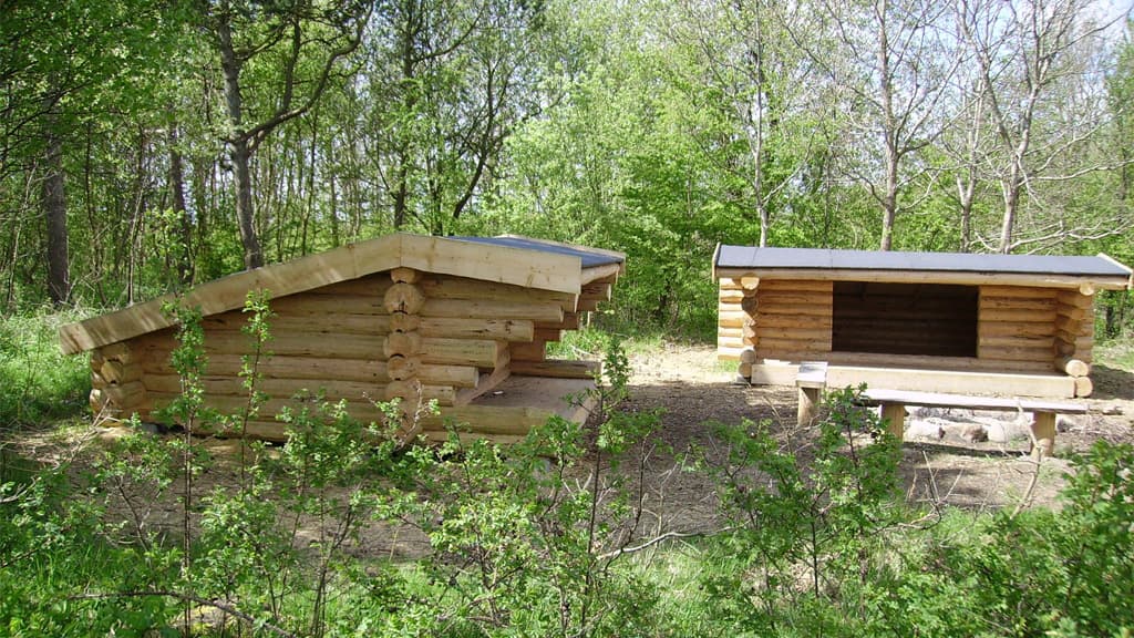 shelterplads, hesteskoen