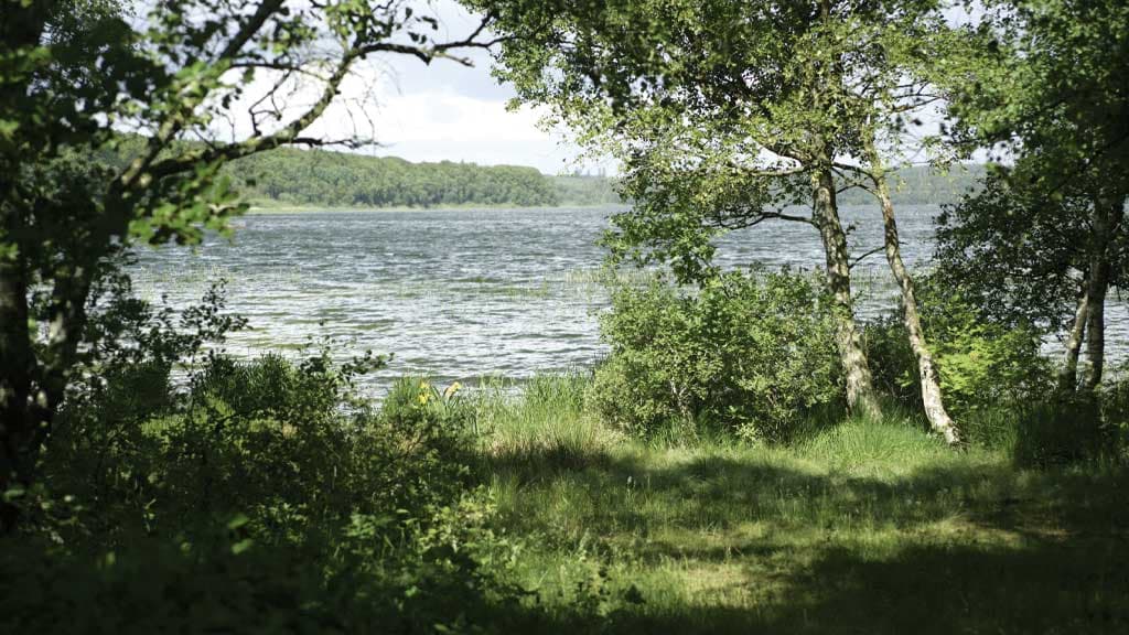 National Park Rebild Bakker and Rold Skov