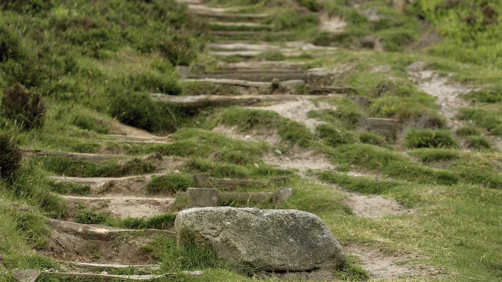 National Park Rebild Bakker and Rold Skov