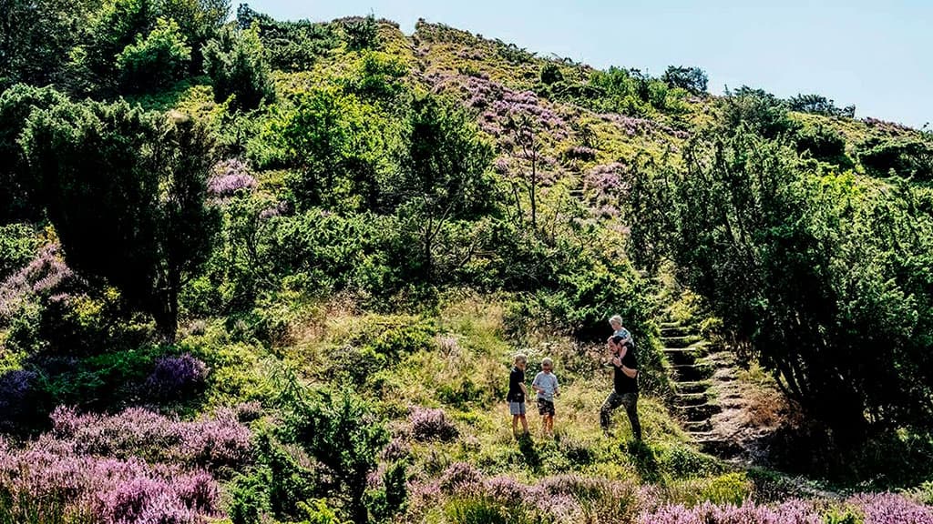 National Park Rebild Bakker and Rold Skov