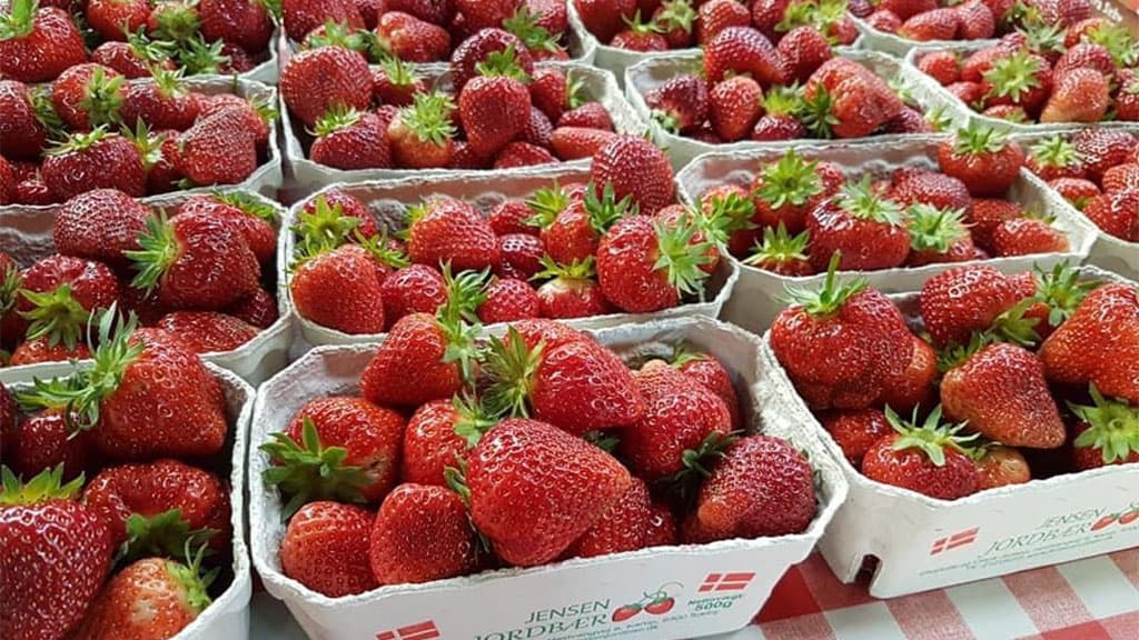 Jensen Jordbær i Sæby