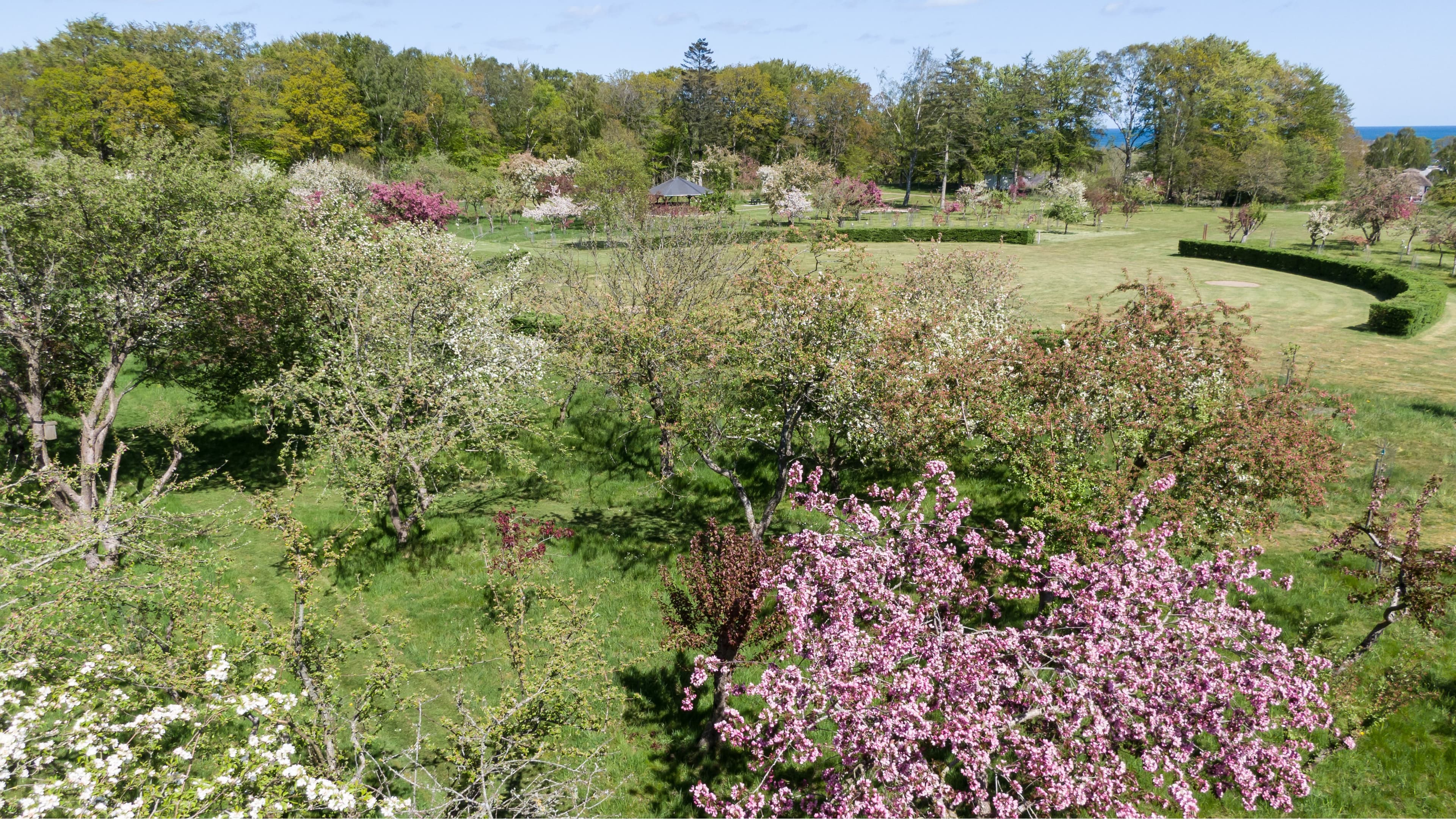 Nellemanns Have - Sæby