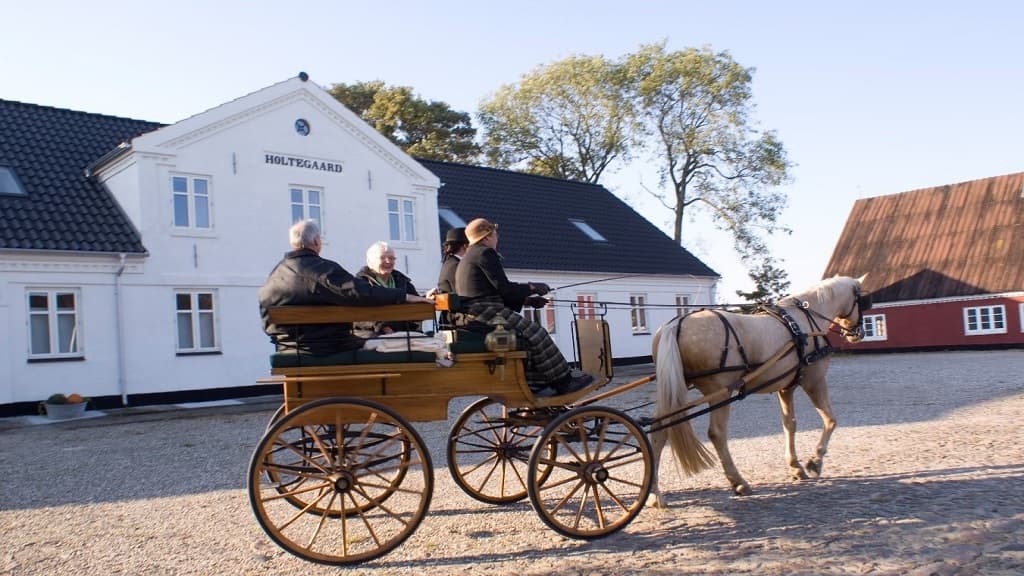 Holtegaard Bed & Breakfast