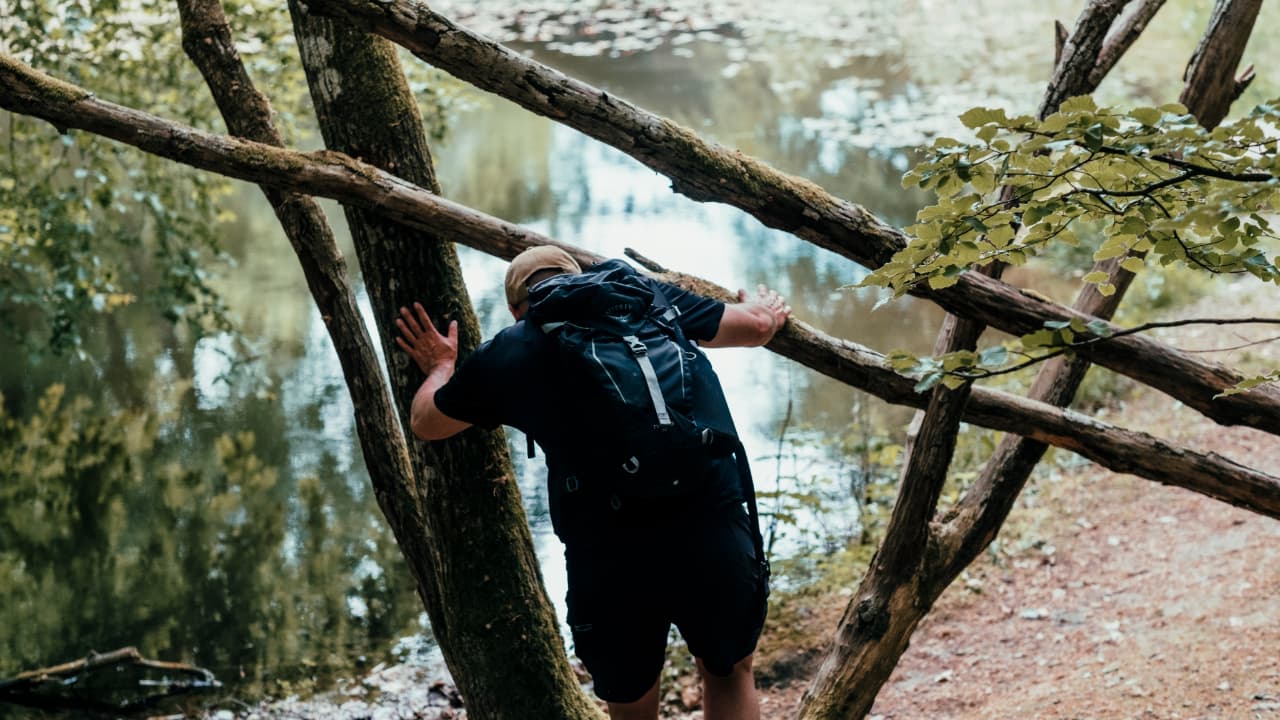 Gåtur i Dronninglund Storskov