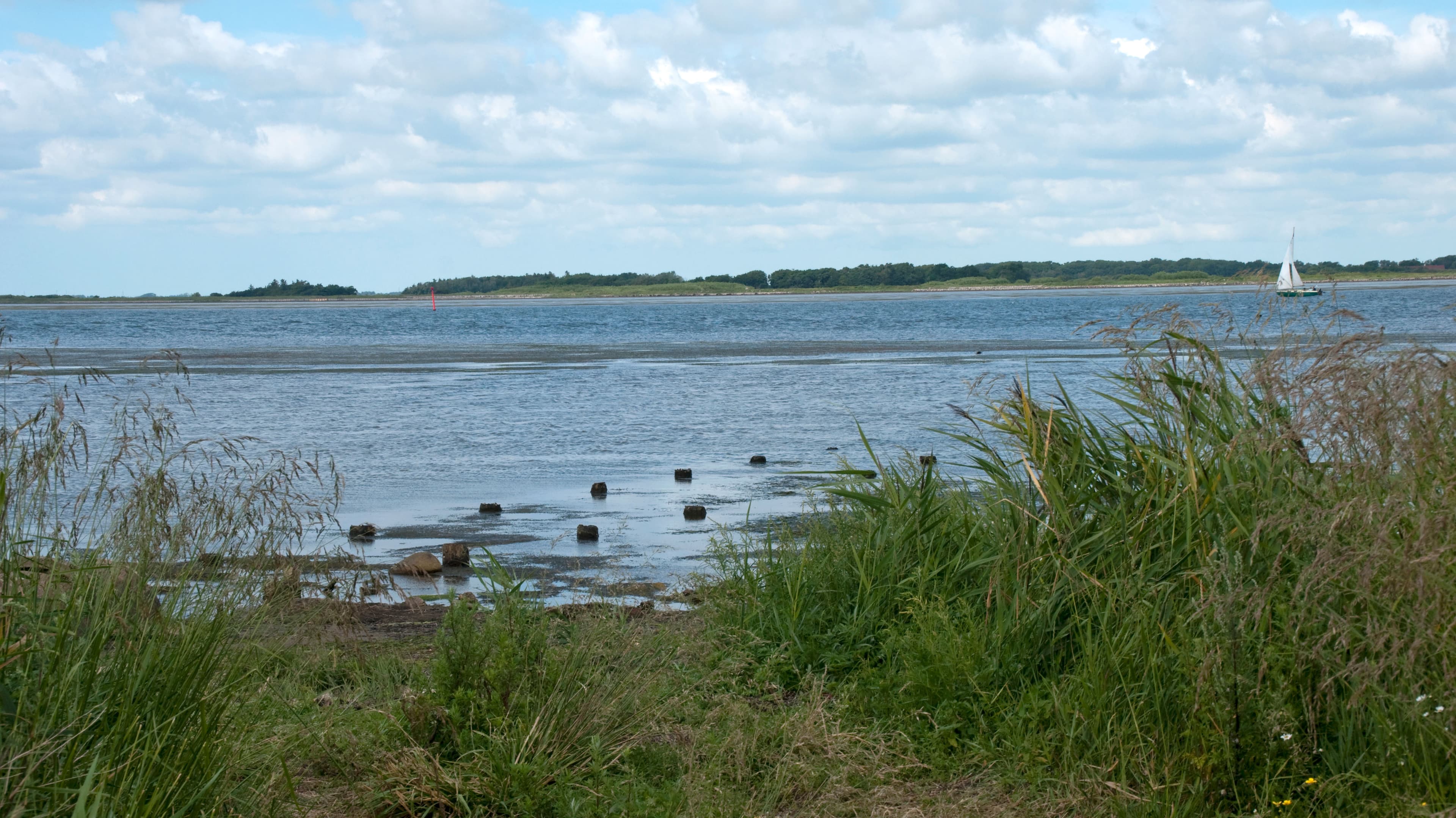 Hasseris skov - lejrplads