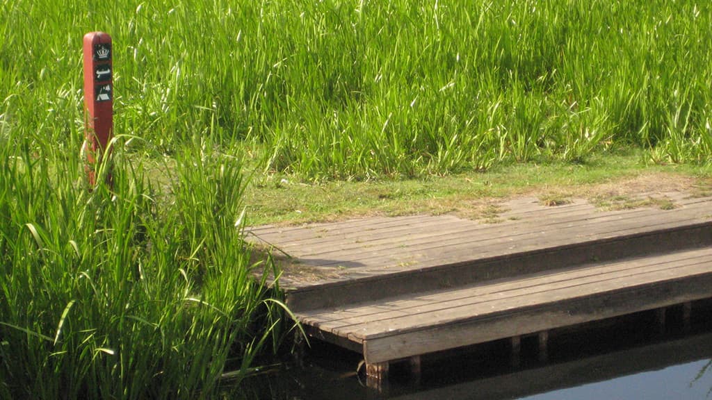 Halkær Å, Lejrplads