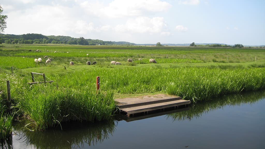 Halkær Å, Lejrplads