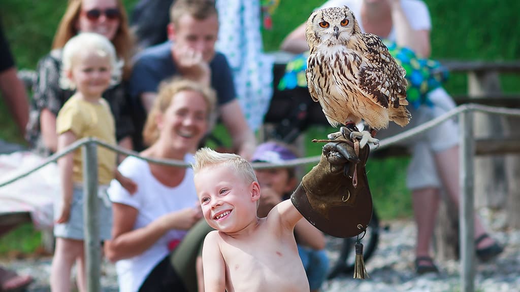 Silkeborg Rovfugleshow og Bisonfarm