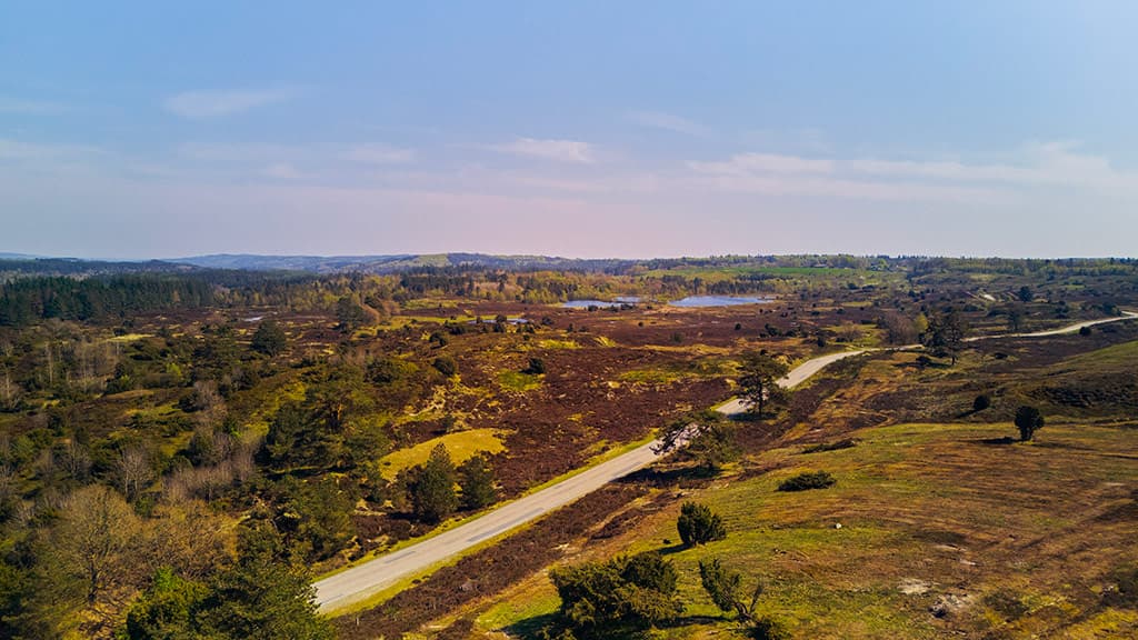 Udsigt ud over hedelandskabet Vrads Sande