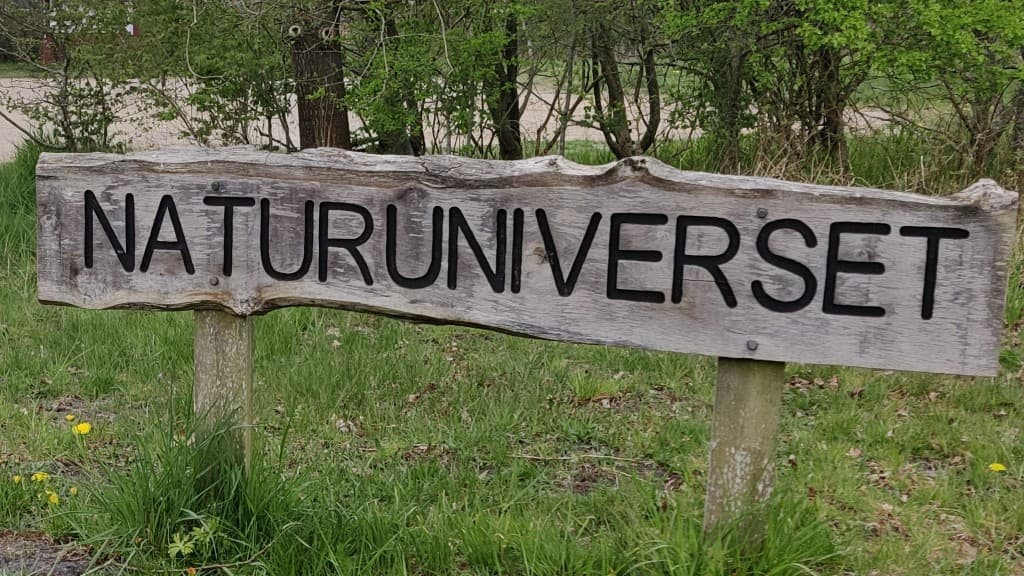 Kollund Naturunivers - Hundeskov