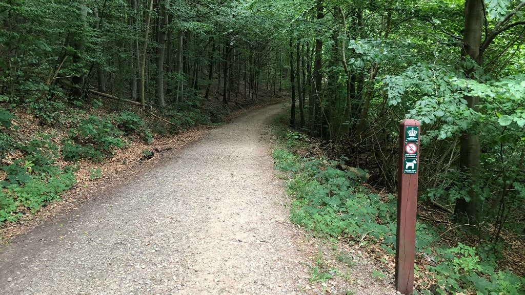 Nørreskov Hundeskov