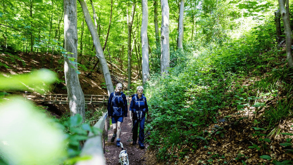 To kvinder med rygsæk og hund vandrer i skov